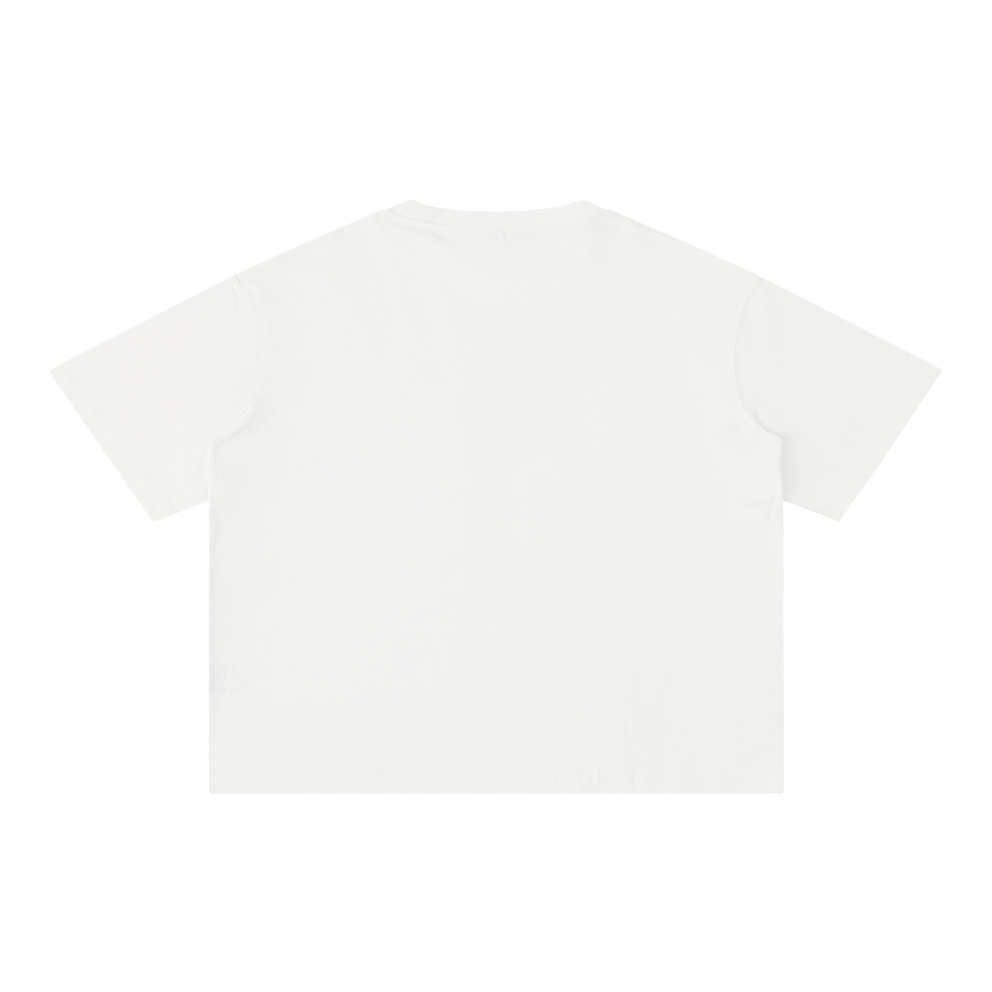 MIMS NYC Wash Boxy Cotton T-Shirt